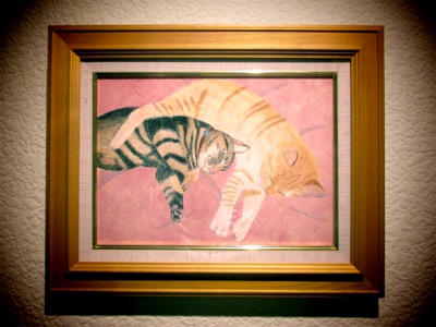 猫
