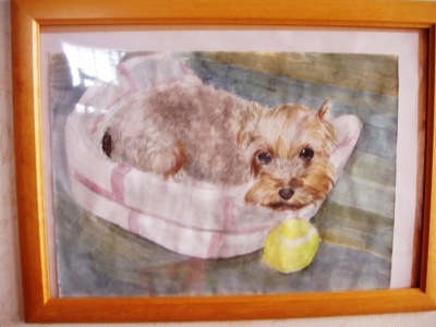 犬