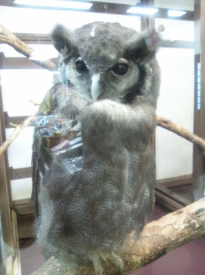掛川花鳥園