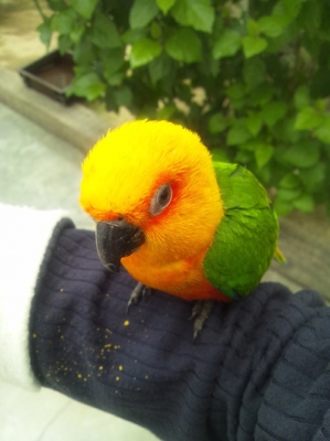 掛川花鳥園