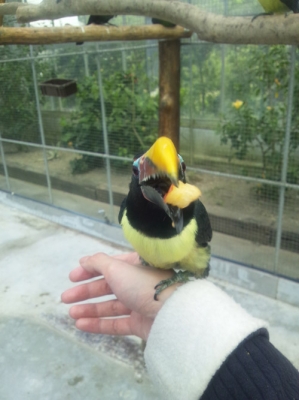 掛川花鳥園