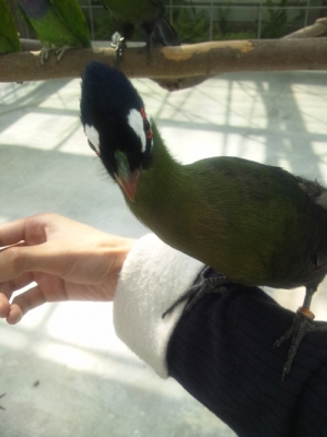 掛川花鳥園