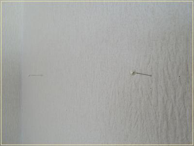 DSCN0270.JPG