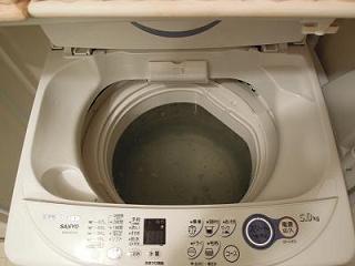 DSCN3262.JPG