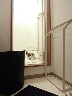 DSCN3661.JPG