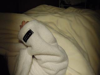 DSCN4275.JPG