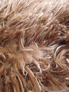 DSCN4327.JPG