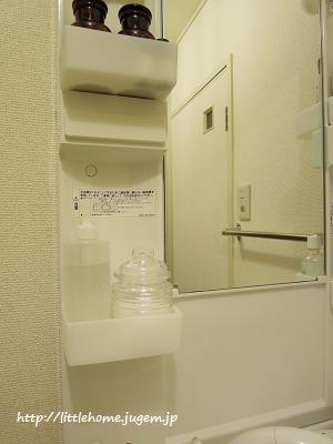 DSCN6829.JPG