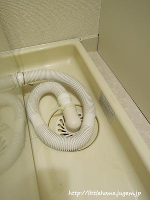 DSCN6770.JPG