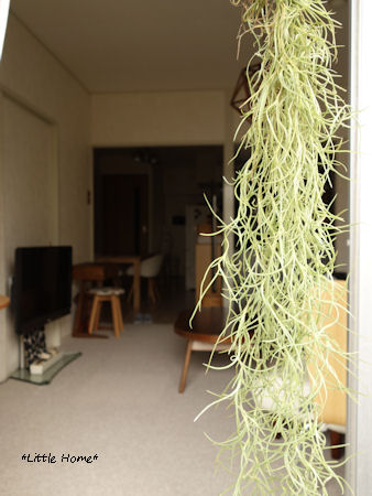 DSC02439.JPG