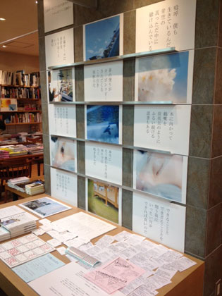 20130128tenji_012.jpg