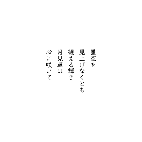 五行詩【月見草】 | 航の SKY NOTE