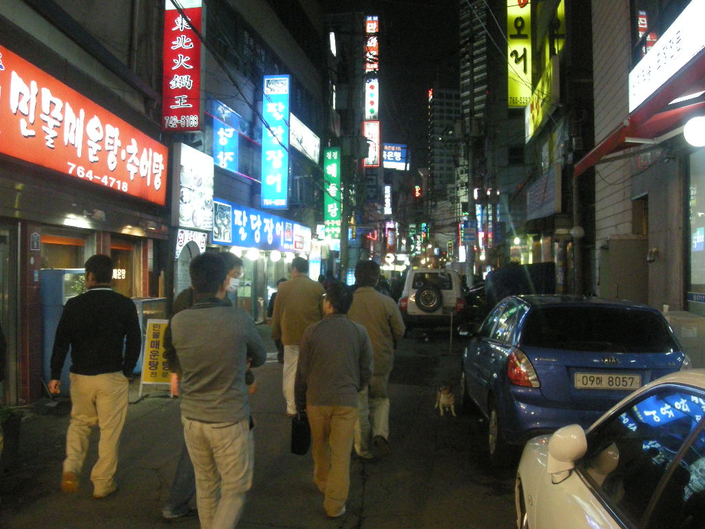 夜の散策