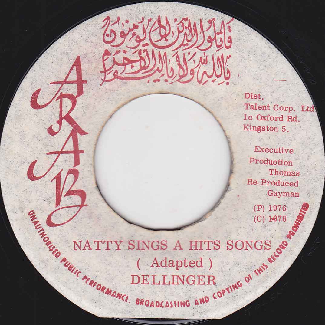 natty-sings-a-hits-songs.jpg