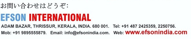 EFSON INTERNATIONAL