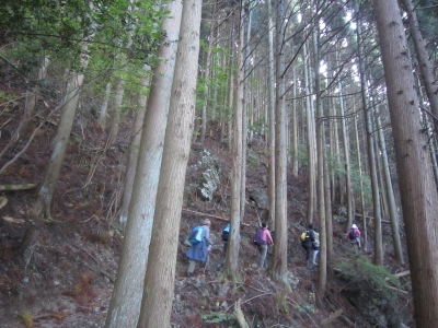 綿向山登山