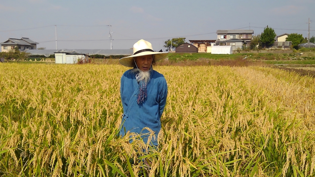 川口自然農