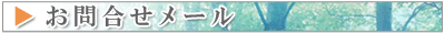 お問い合わせメール 30×400