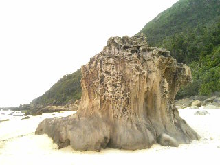 西表ナイヌ浜の奇岩