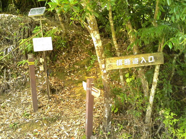 西表横断道大富口