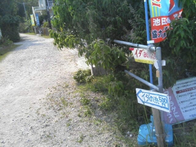 イダの浜へ行く道