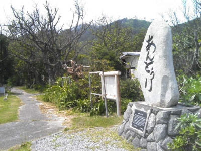 網取入口