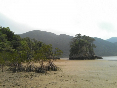 崎山湾小島