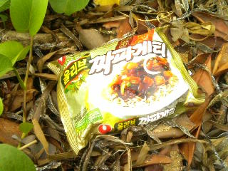 漂着物1