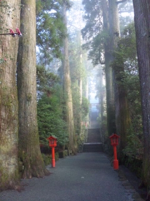 箱根神社参道