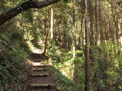 白山大神の道