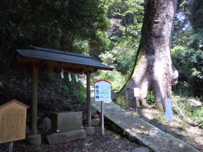 白山大神