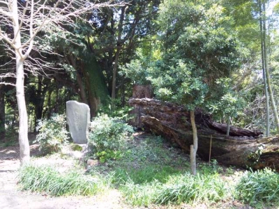 伊豆山神社