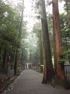 椿大神社参道