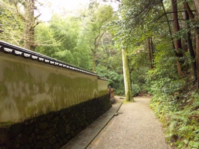 石上神宮エネルギー