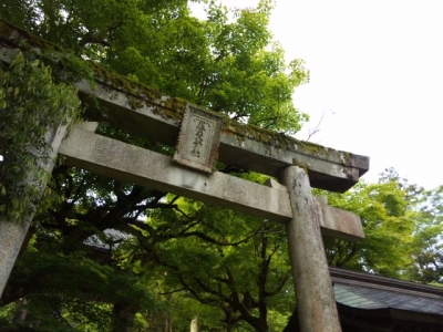 養父神社鳥居