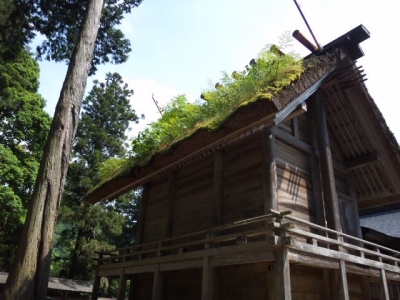 元伊勢外宮本殿