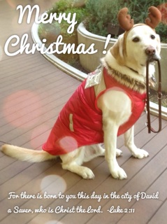 Merry Christmas from Alpha