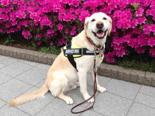 [�̿�]������