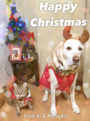 〔写真〕トナカイの角を着けた犬のアルファ、サンタの衣装を着た猫のマツコが、ツリーの前で並んでいる。