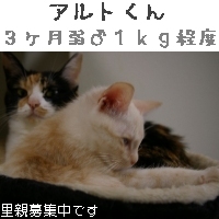 あると