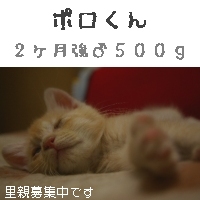 ぽろ