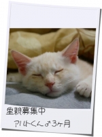 あるある