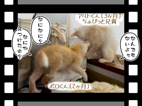 あるとぽろ会話篇