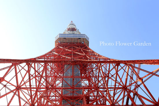 _U1A3968のコピー.jpg