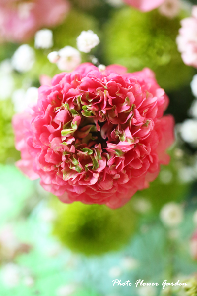 0U1A2270のコピー.jpg