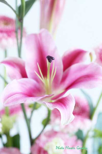 0U1A2632のコピー.jpg