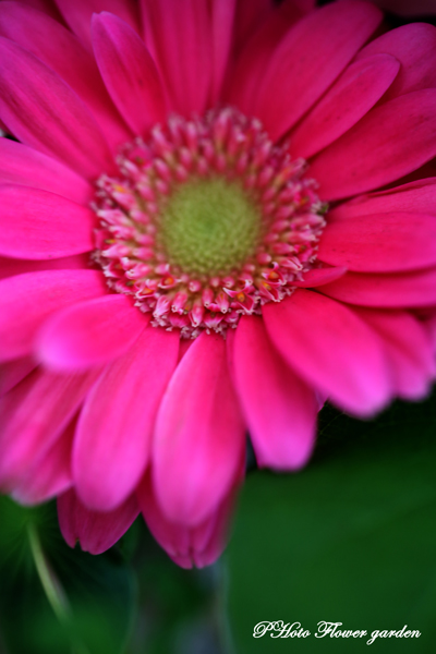 0U1A6919のコピー.jpg
