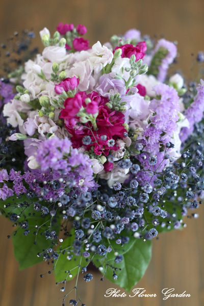 紫のかすみ草花束 フォト フラワーガーデン