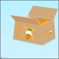 ミカンの箱買い