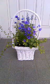 100607_1109~010001.jpg